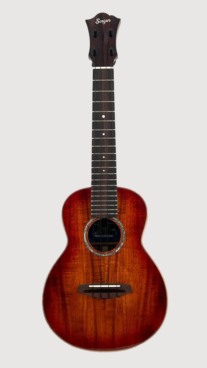 aNueNue Singer RC1K Concert