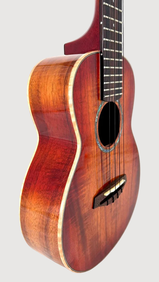 aNueNue Singer RC1K Concert