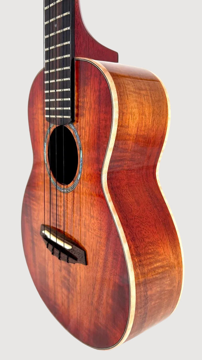 aNueNue Singer RC1K Concert