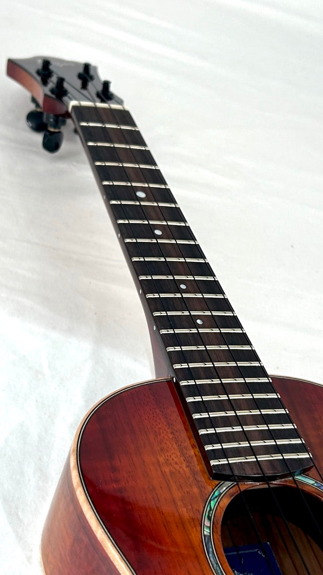 aNueNue Singer RC1K Concert