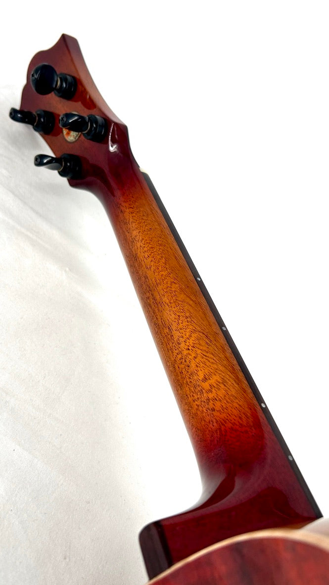 aNueNue Singer RC1K Concert