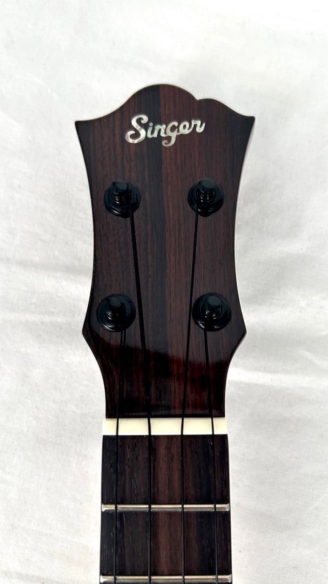 aNueNue Singer RC1K Concert