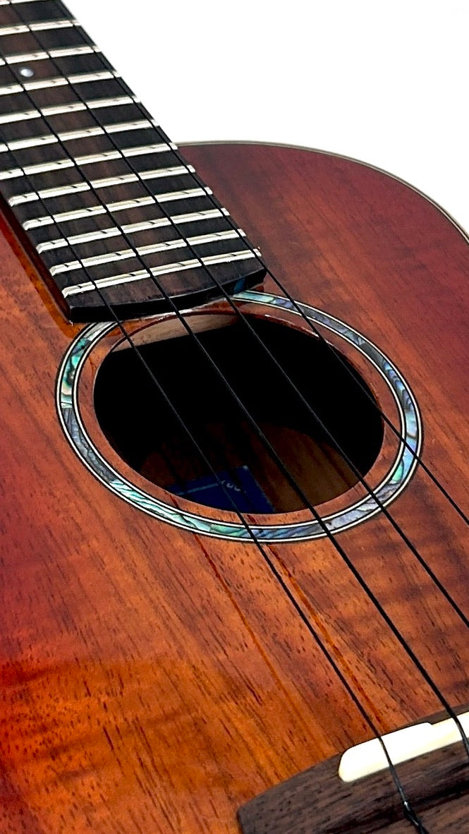 aNueNue Singer RC1K Concert