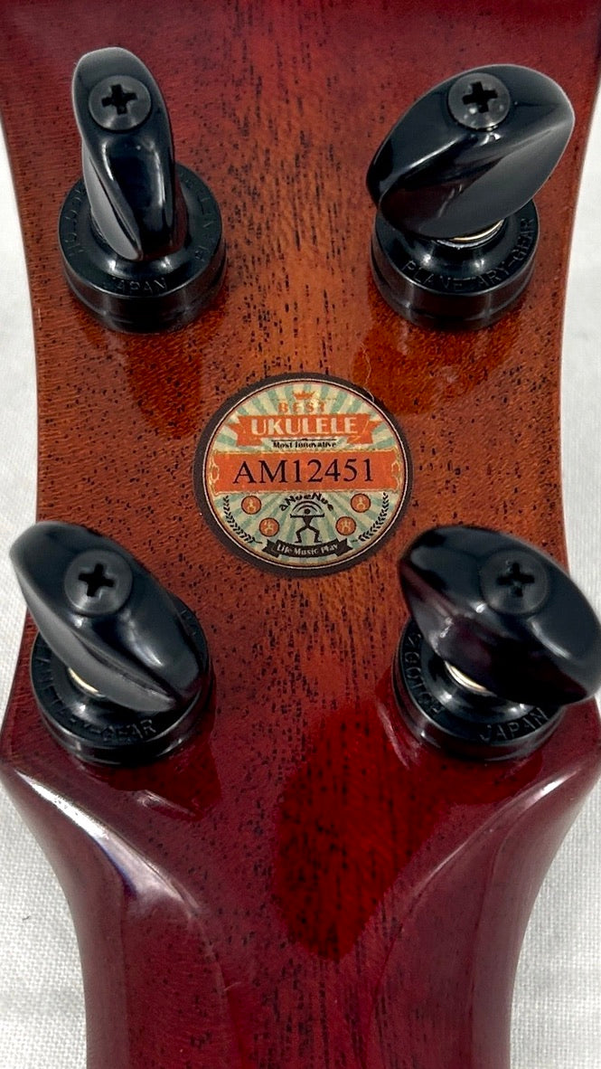 aNueNue Singer RC1K Concert