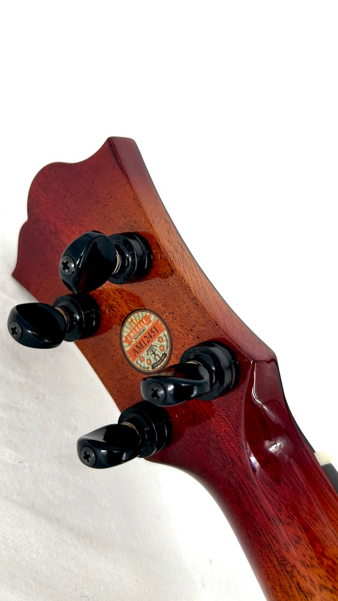 aNueNue Singer RC1K Concert