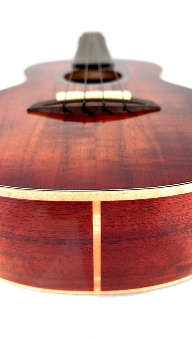 aNueNue Singer RC1K Concert