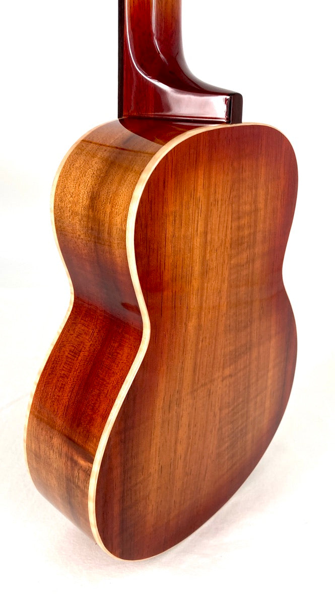 aNueNue Singer RC1K Concert