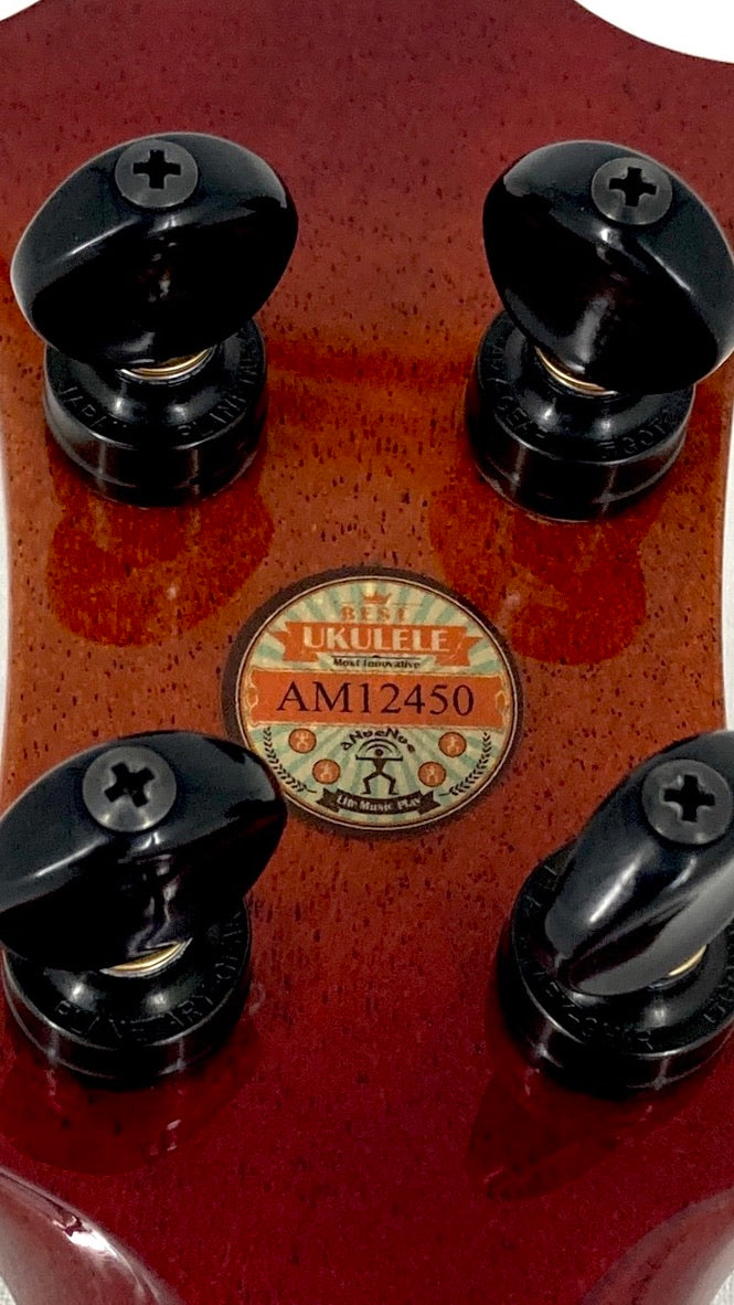 aNueNue Singer RC1K Concert