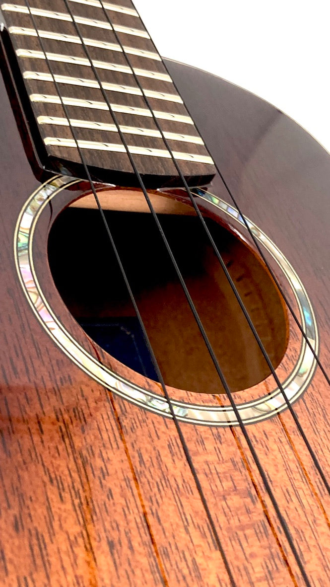 aNueNue Singer RC1M Concert