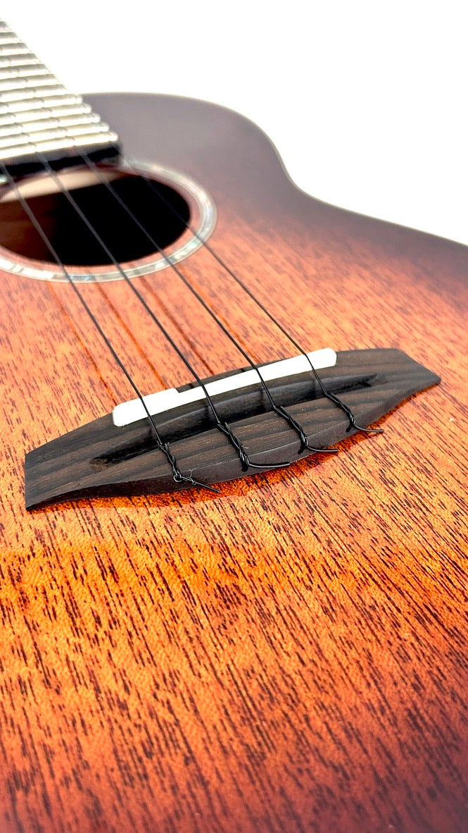 aNueNue Singer RT1M