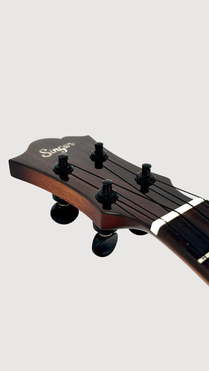 aNueNue Singer RT1M