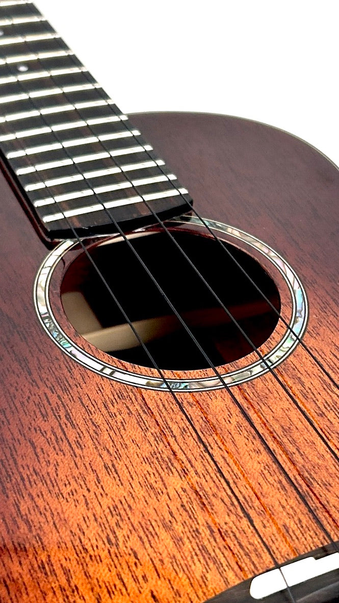 aNueNue Singer RT1M