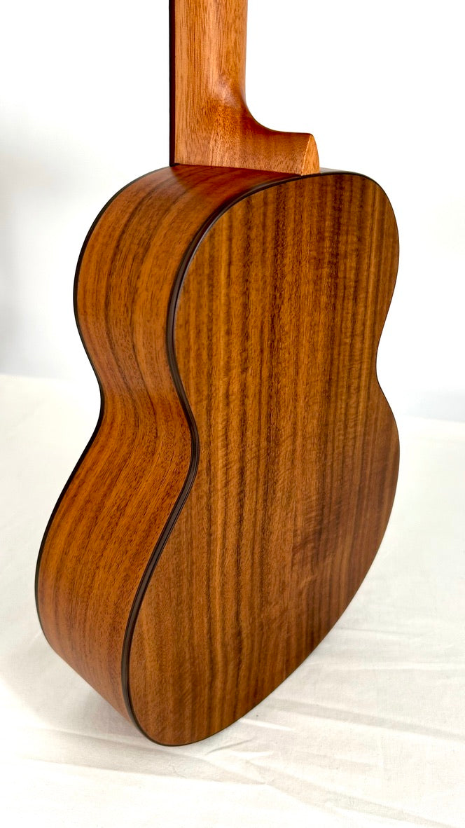 aNueNue T4 Tenor