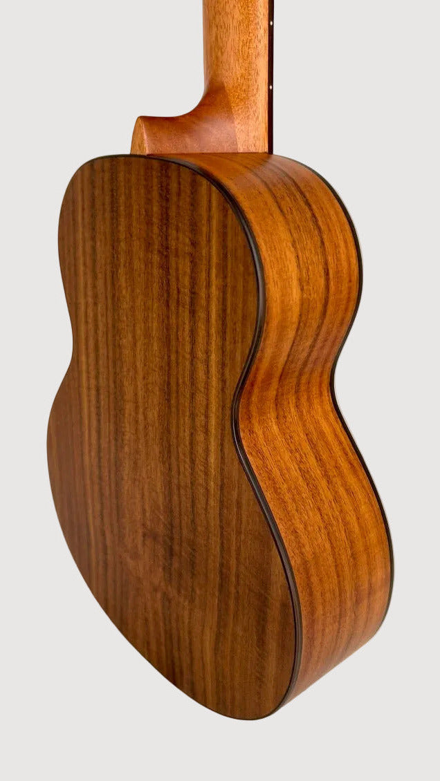 aNueNue T4 Tenor