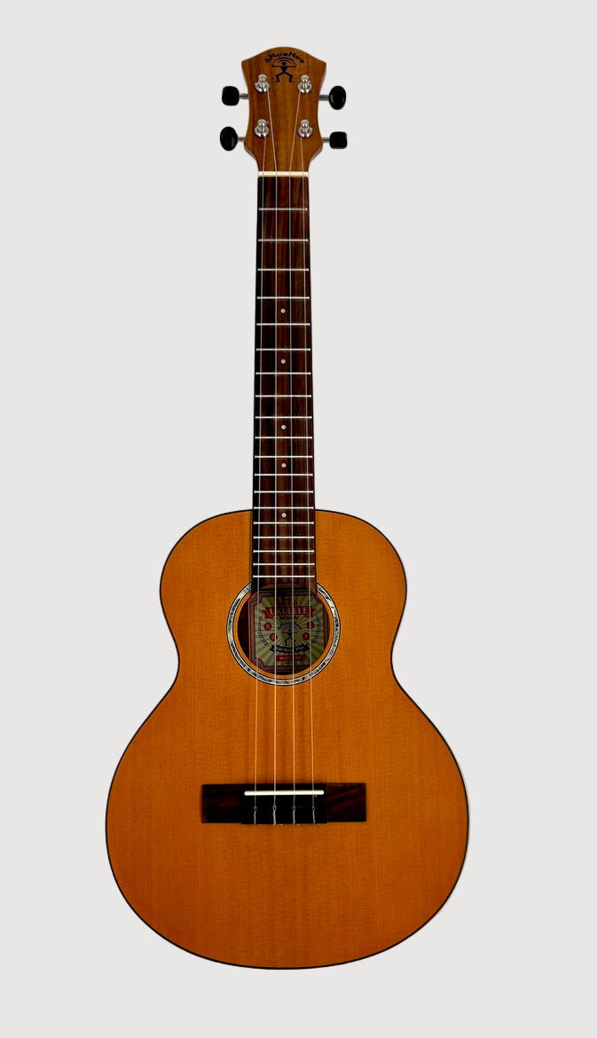 aNueNue T4 Tenor