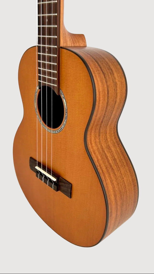 aNueNue T4 Tenor