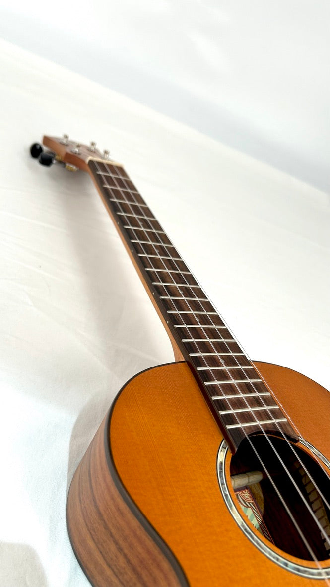 aNueNue T4 Tenor