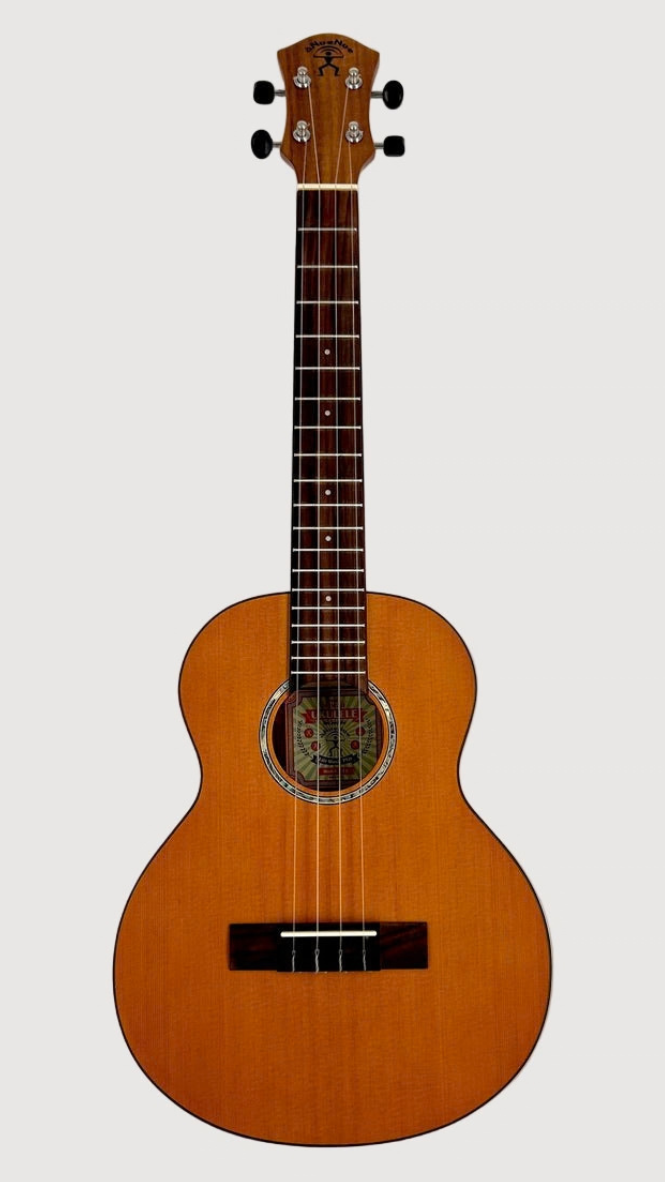 aNueNue T4 Tenor