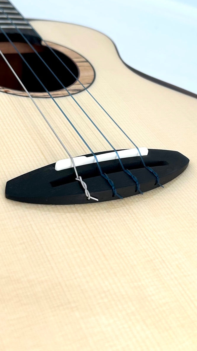 aNueNue UB200 Moonbird Bariton