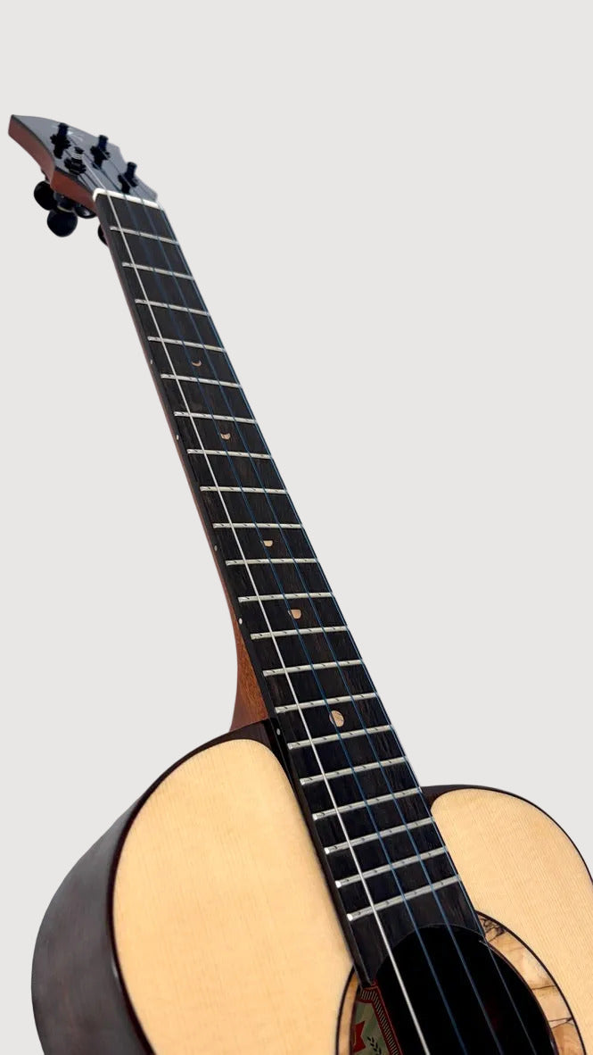 aNueNue UB200 Moonbird Bariton