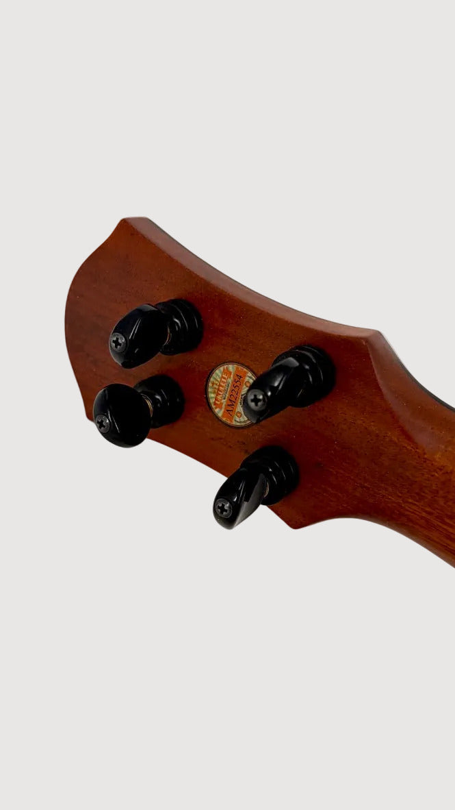 aNueNue UB200 Moonbird Bariton