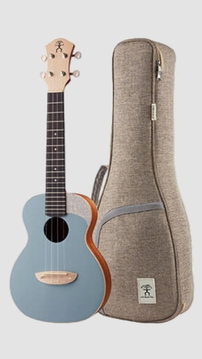 aNueNue UC-10 BA Concert