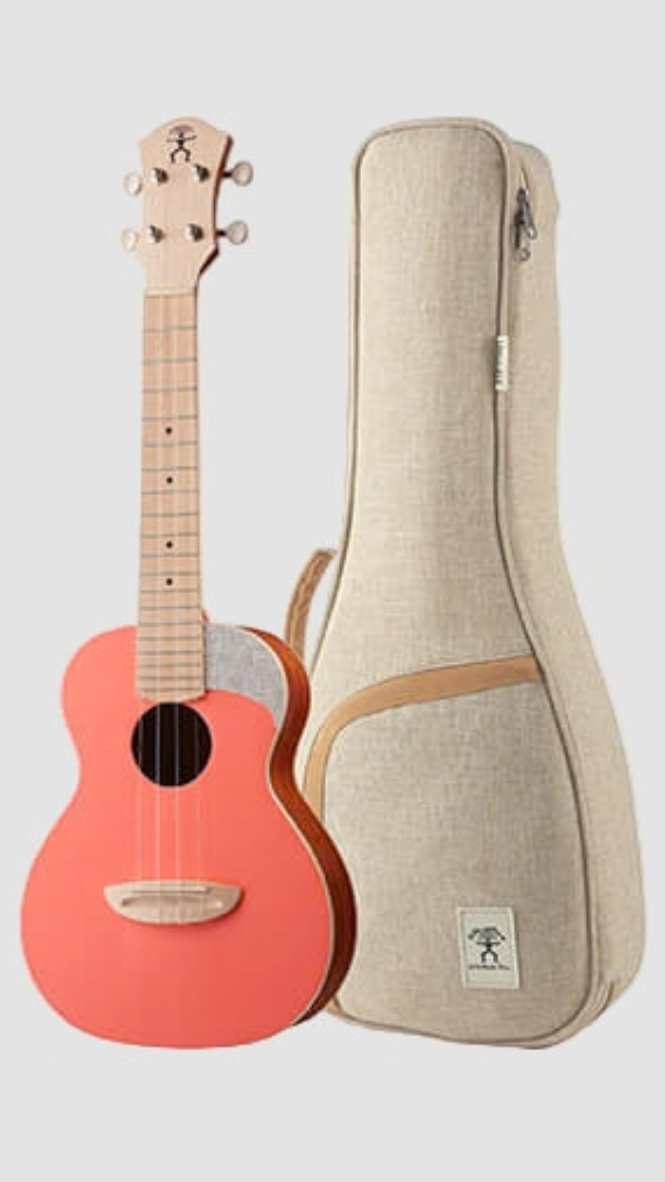 aNueNue UC-10 LC Concert