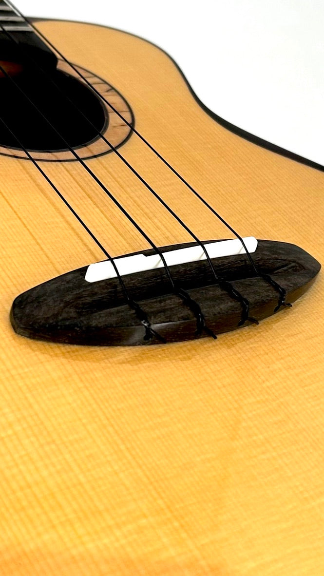 aNueNue UC200 Moonbird Concert