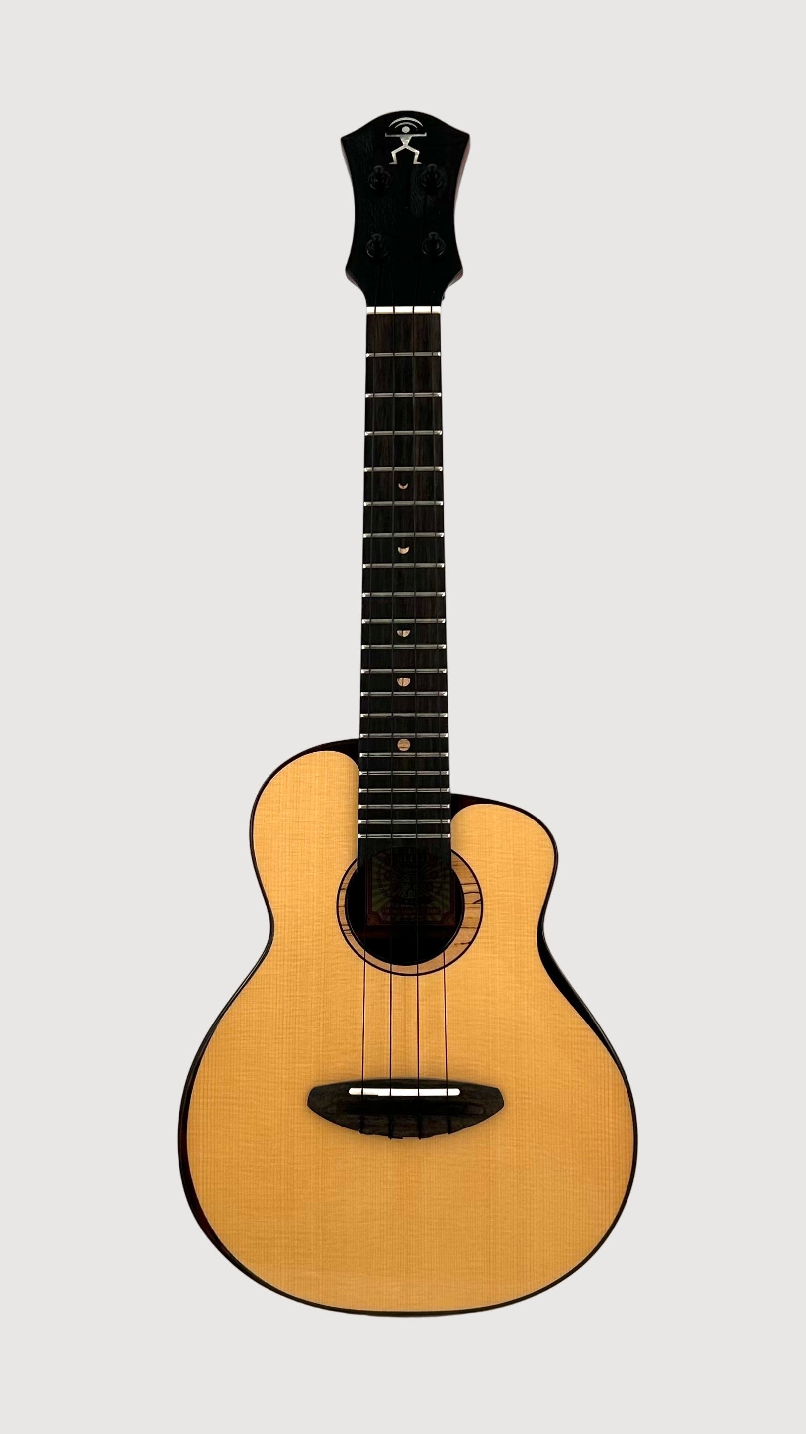 aNueNue UC200 Moonbird Concert