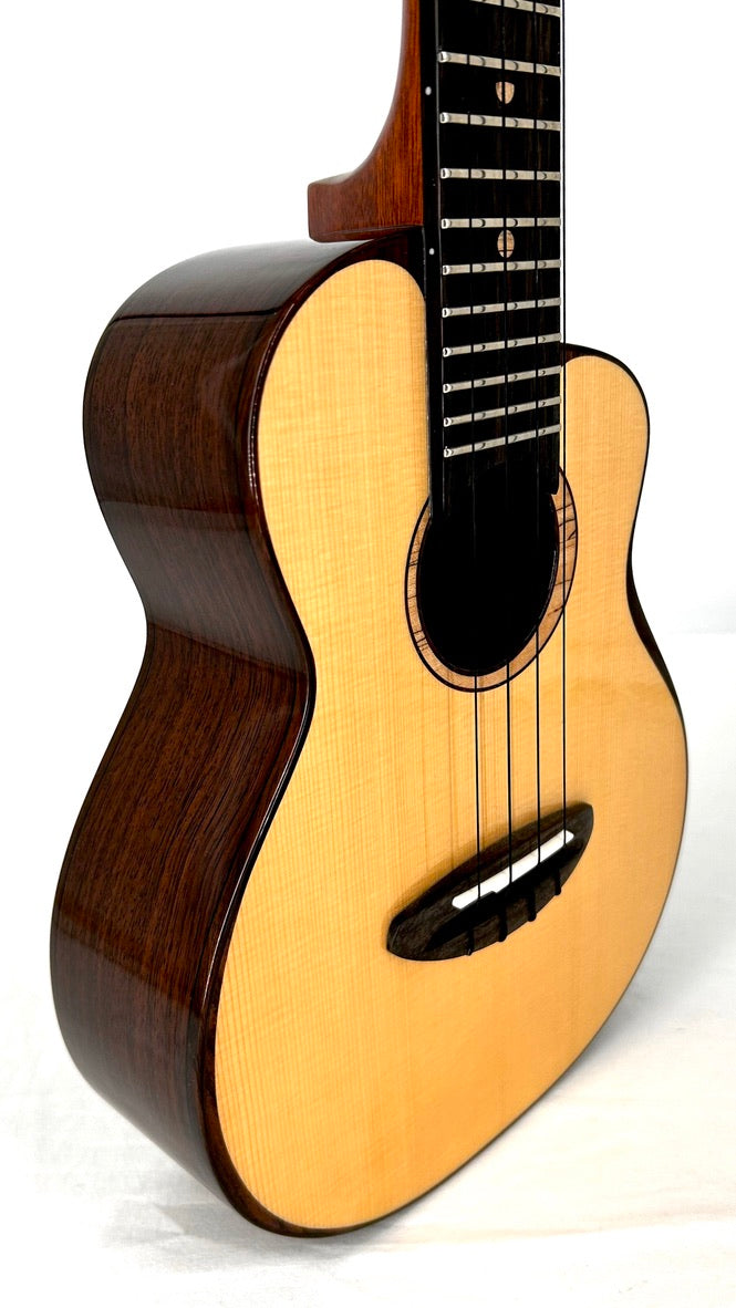 aNueNue UC200 Moonbird Concert