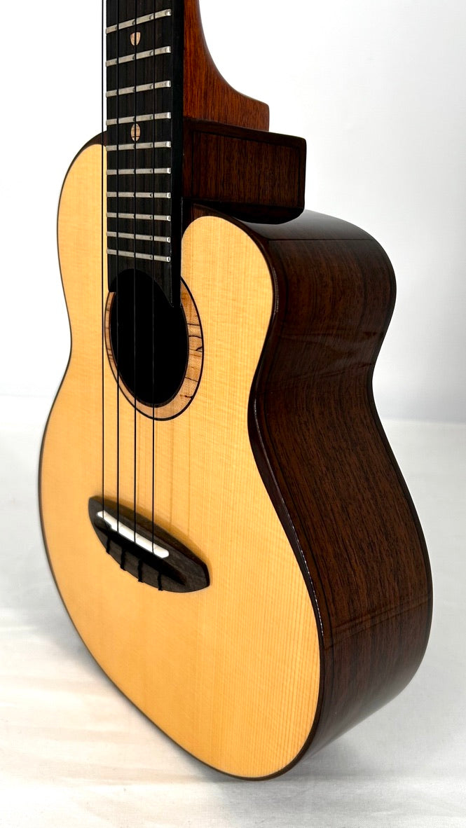 aNueNue UC200 Moonbird Concert