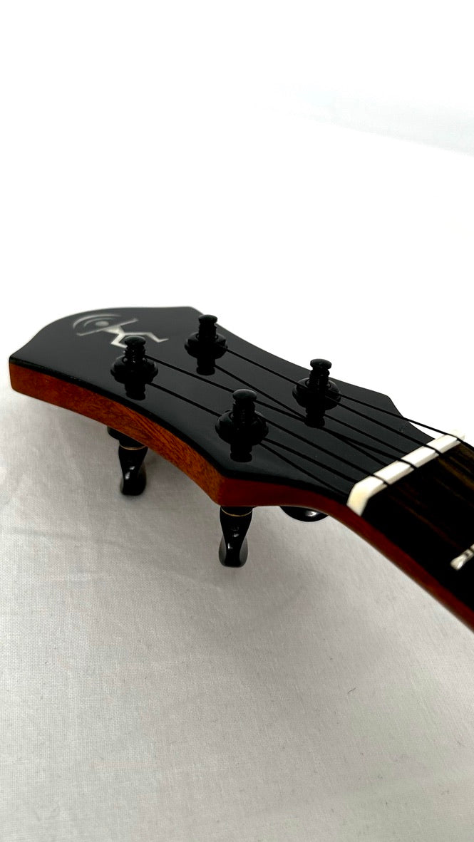 aNueNue UC200 Moonbird Concert