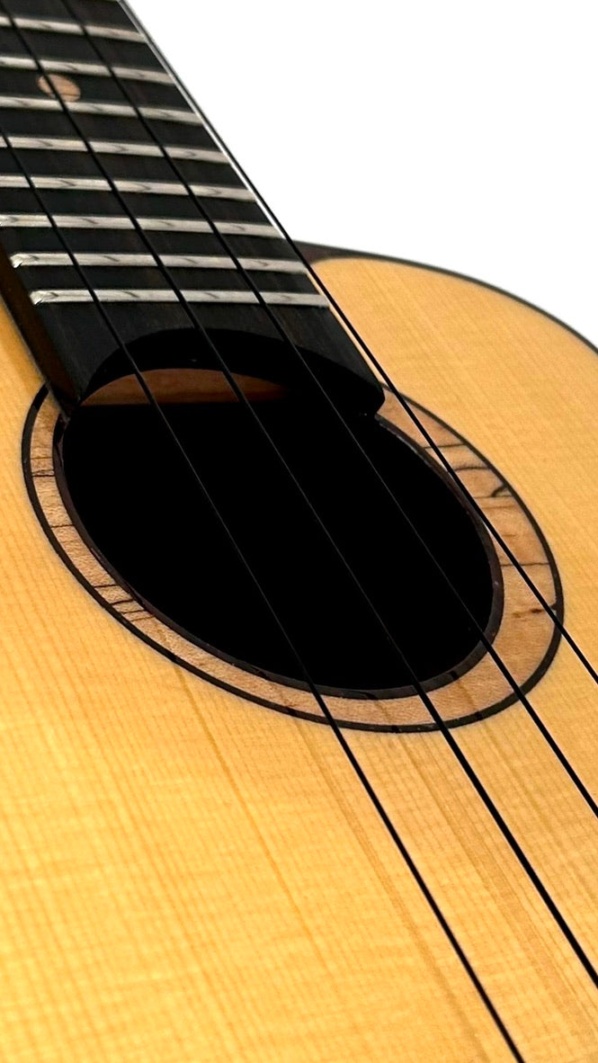 aNueNue UC200 Moonbird Concert