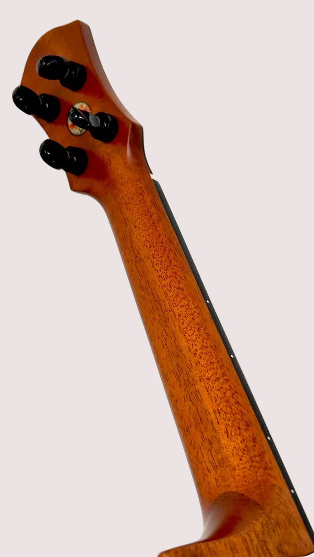 aNueNue UC200 Moonbird Concert