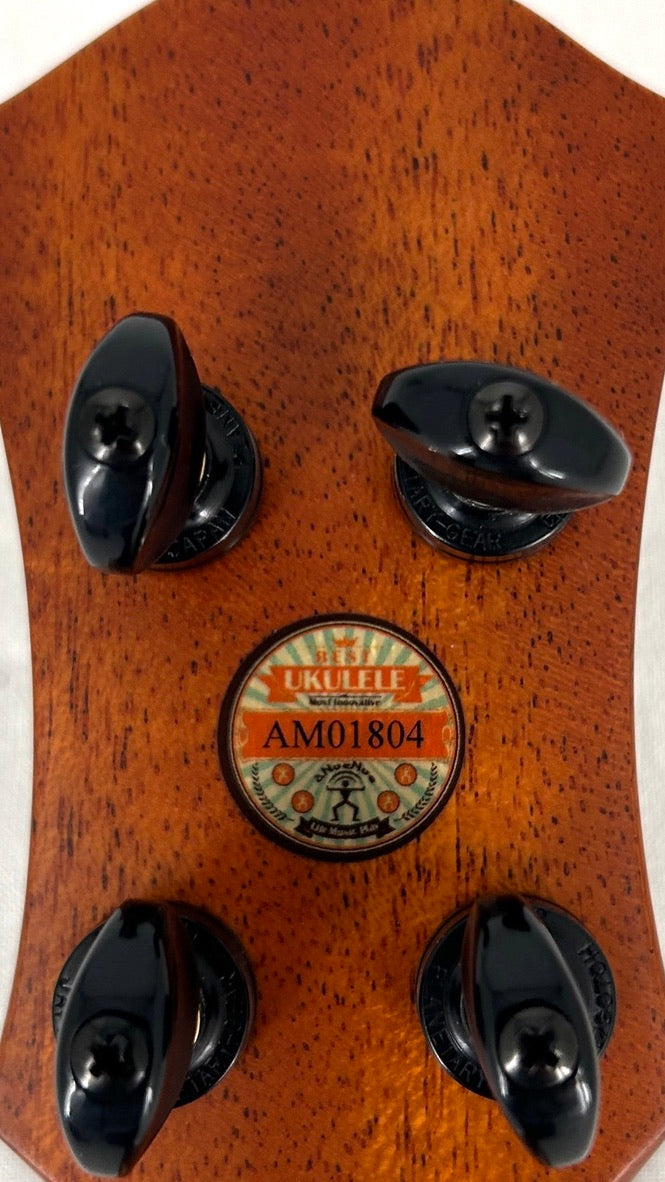 aNueNue UC200 Moonbird Concert