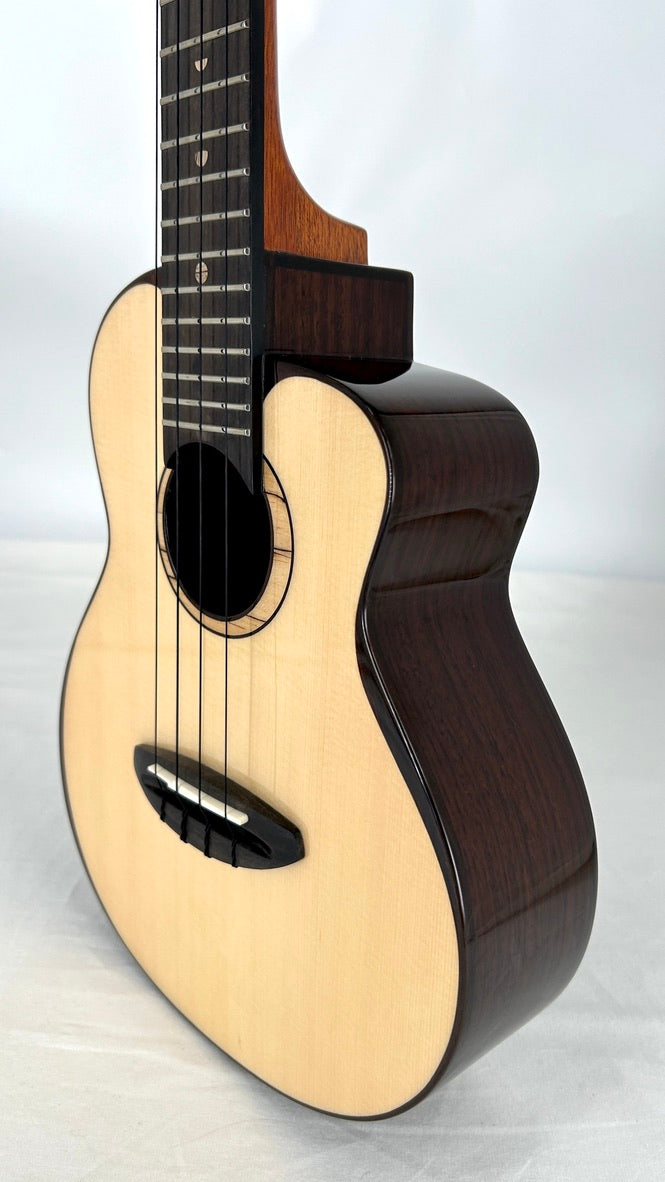 aNueNue UC200 Moonbird Concert