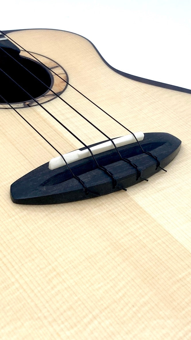 aNueNue UC200E Moonbird Concert mit Pickup