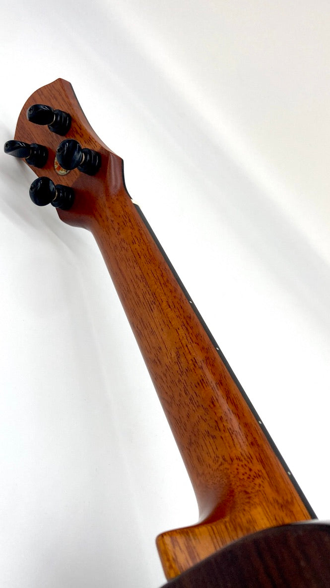 aNueNue UC200E Moonbird Concert mit Pickup