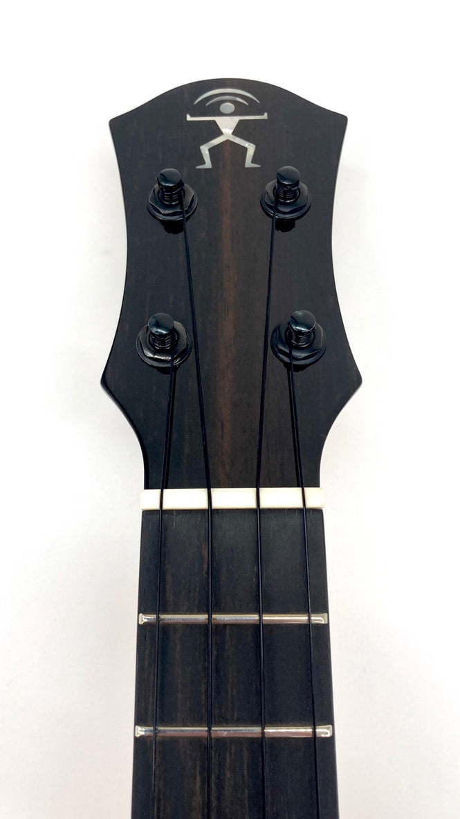 aNueNue UC200E Moonbird Concert mit Pickup