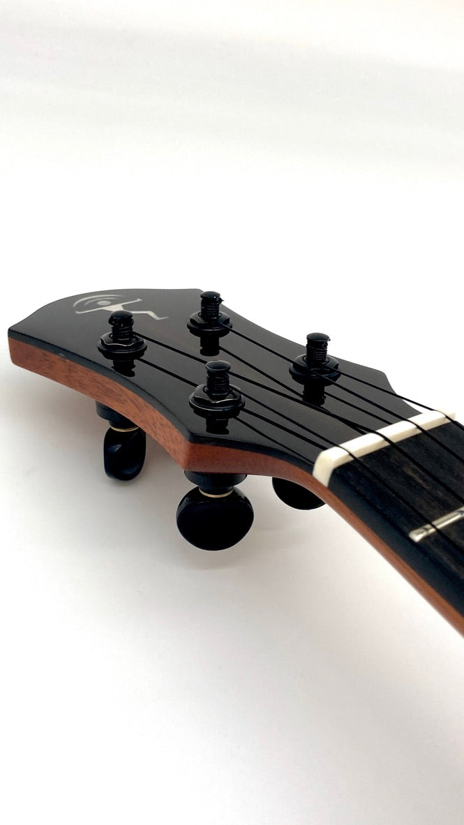 aNueNue UC200E Moonbird Concert mit Pickup