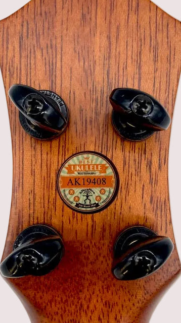 aNueNue UC200E Moonbird Concert mit Pickup