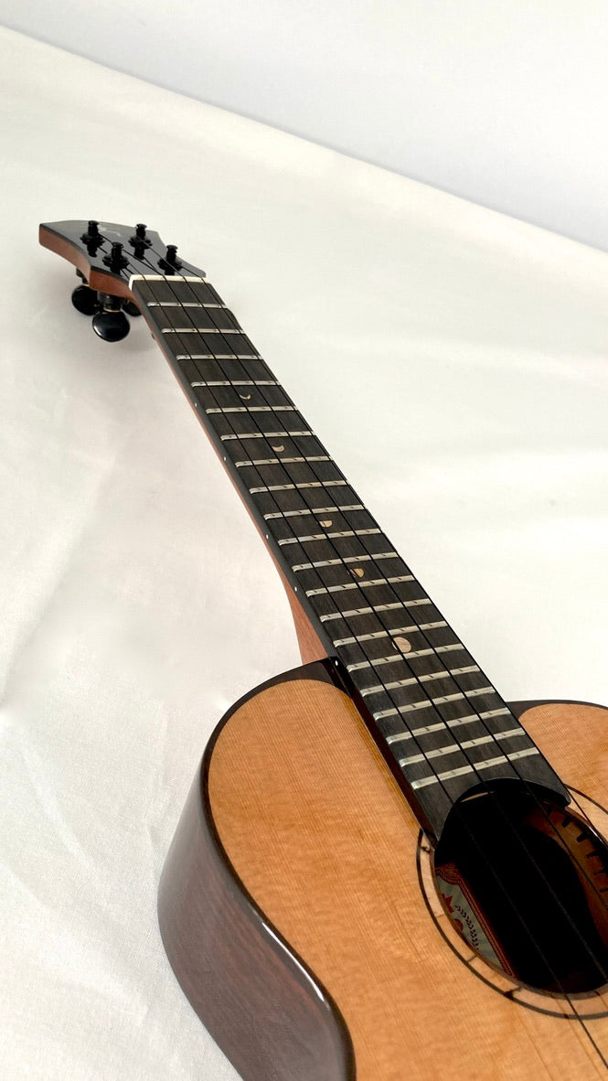 aNueNue UC214 Cedarbird Concert