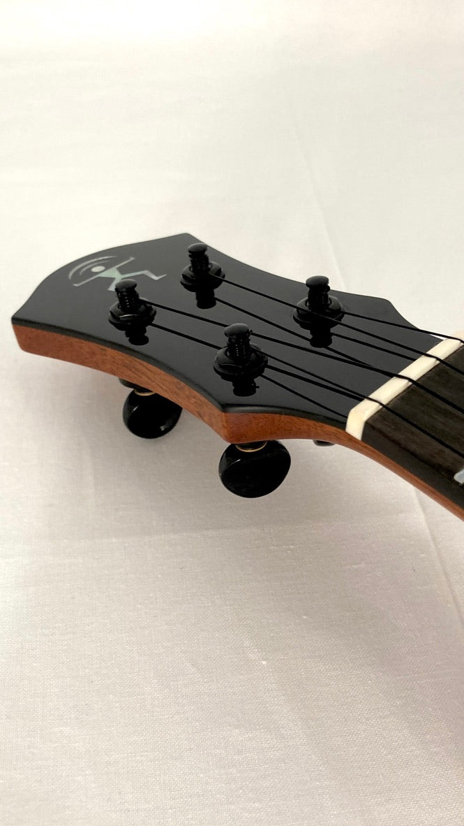 aNueNue UC214 Cedarbird Concert