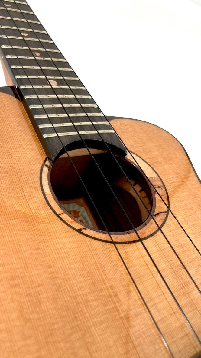 aNueNue UC214 Cedarbird Concert