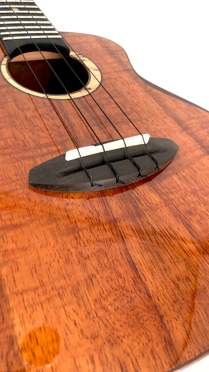 aNueNue UC3K Bird Concert