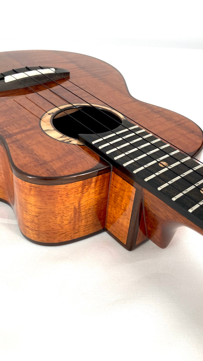 aNueNue UC3K Bird Concert