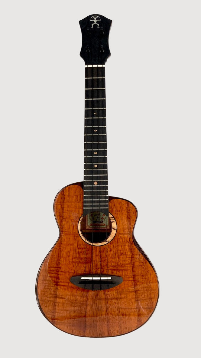 aNueNue UC3K Bird Concert