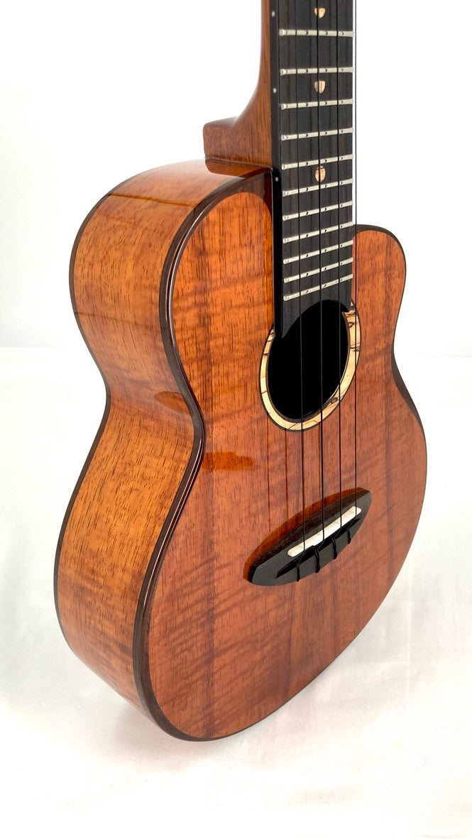 aNueNue UC3K Bird Concert