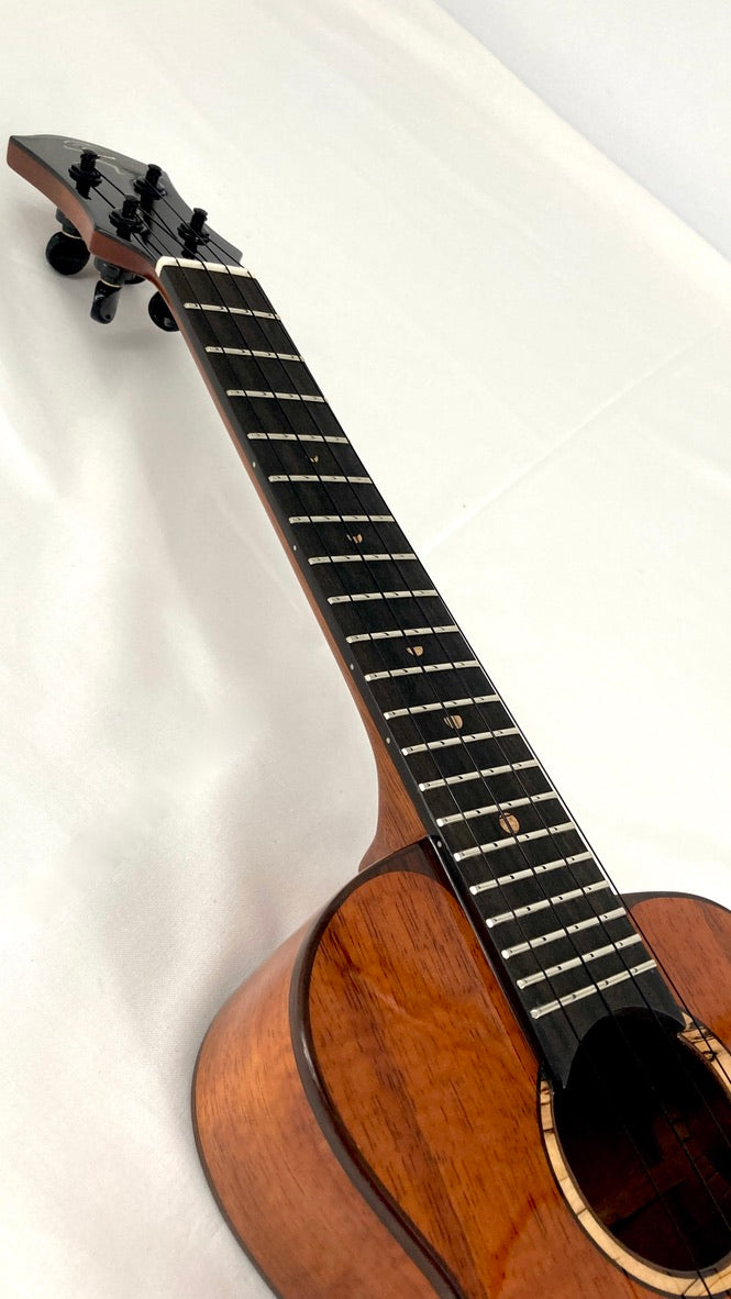 aNueNue UC3K Bird Concert