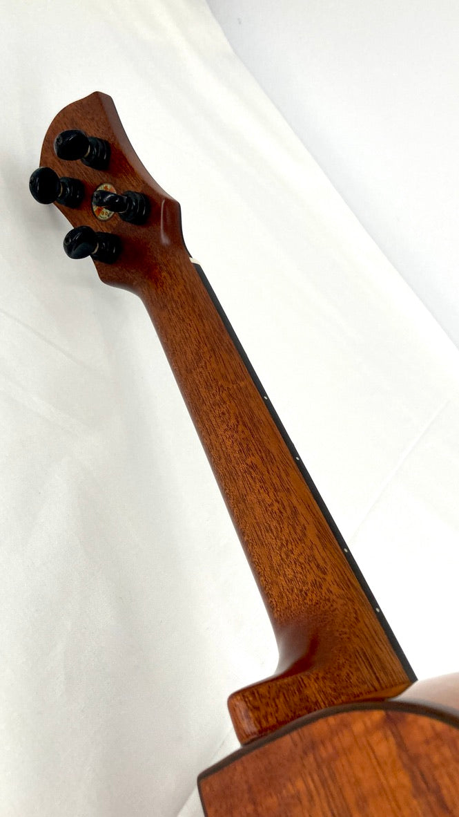 aNueNue UC3K Bird Concert